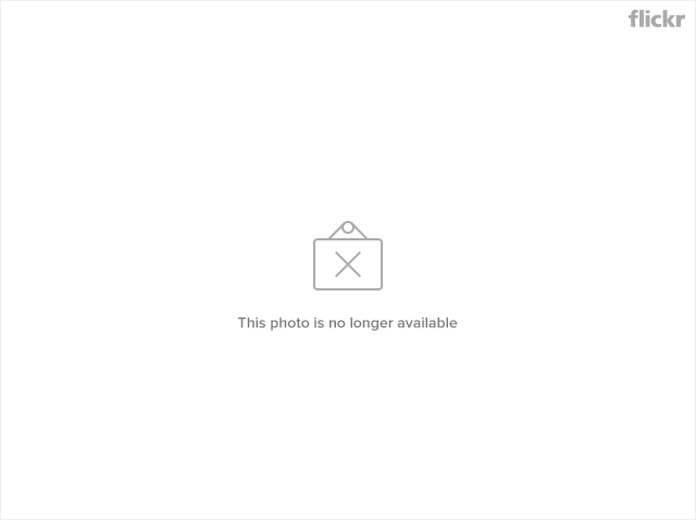 7407831558_1b0febb786_z.jpg