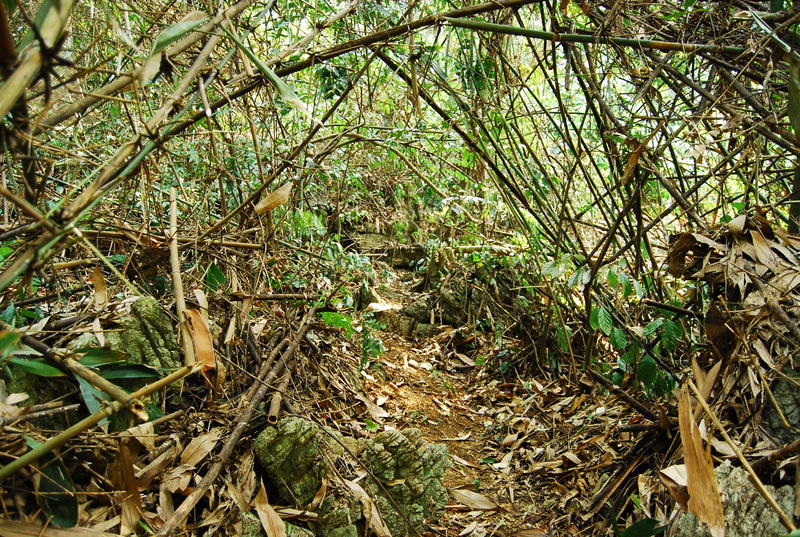 dsc7708.jpg