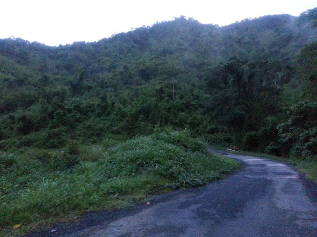 20130601_180037_zpscd15d56a.jpg