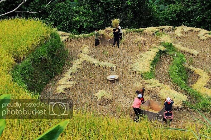 HaGiang-1268.jpg