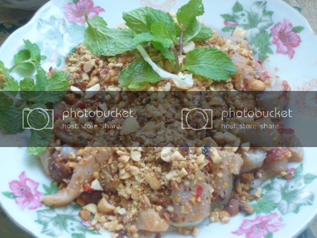 P1040641_resize.jpg