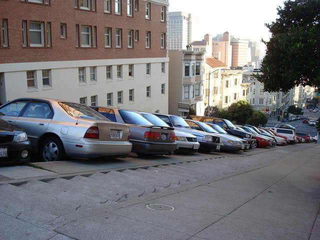 DSC07367.jpg