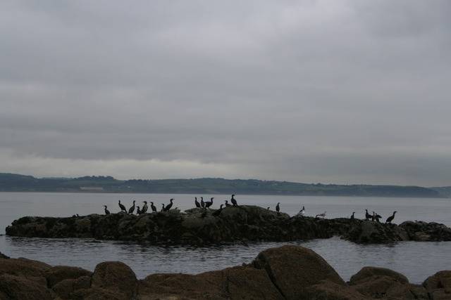 024-1.jpg