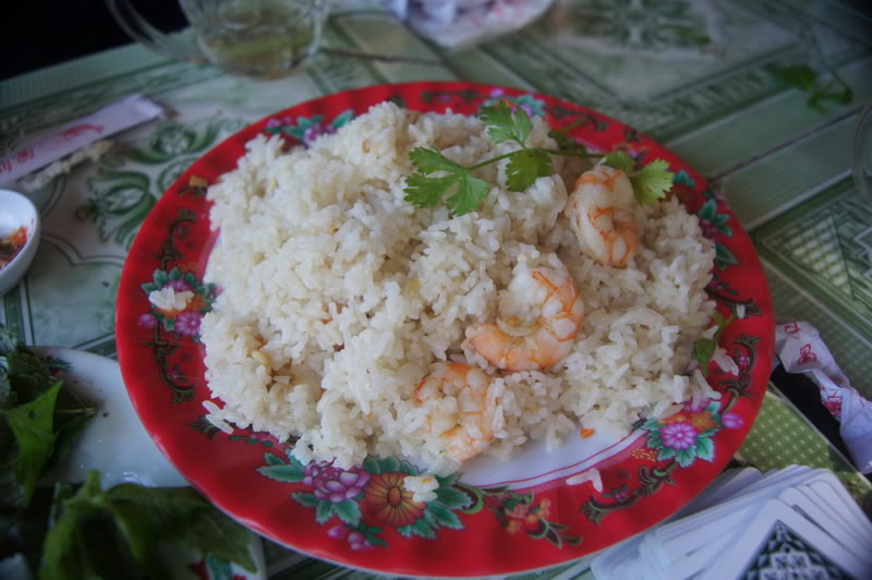 3643678e.jpg
