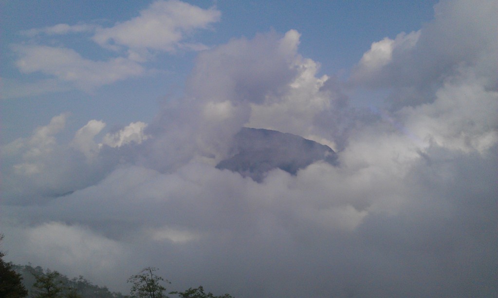IMAG0181.jpg