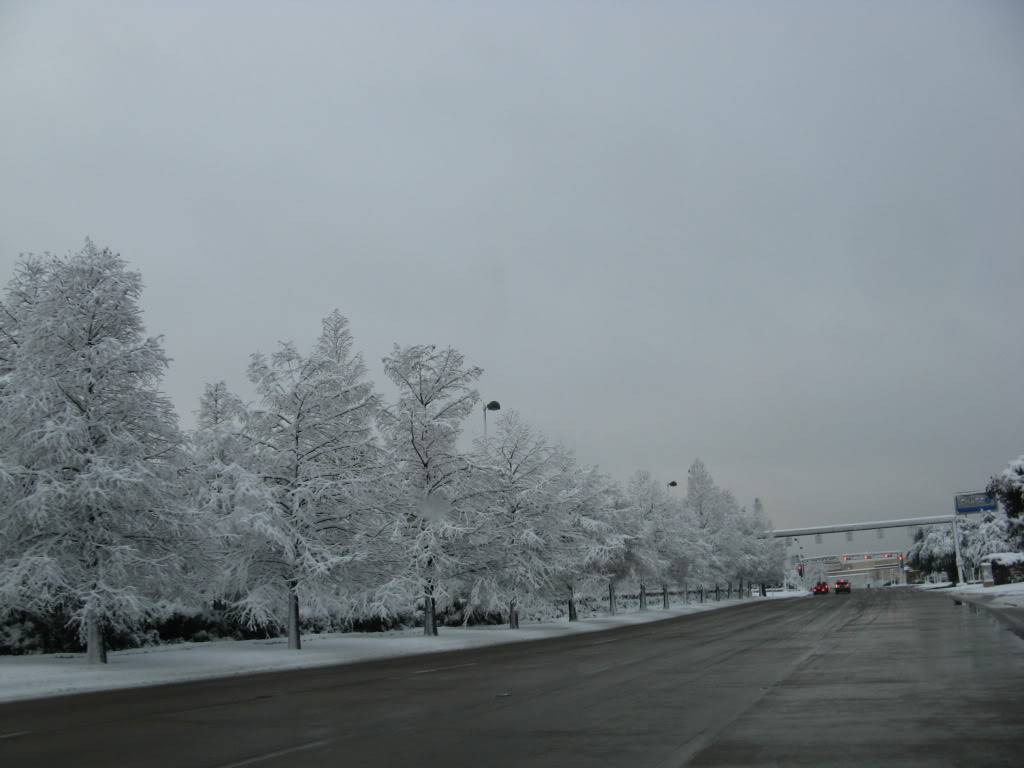 IMG_0071.jpg