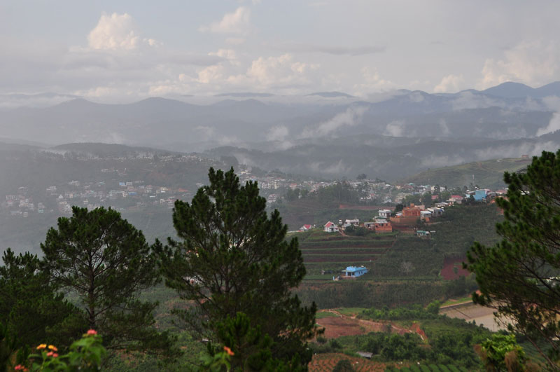 93.jpg