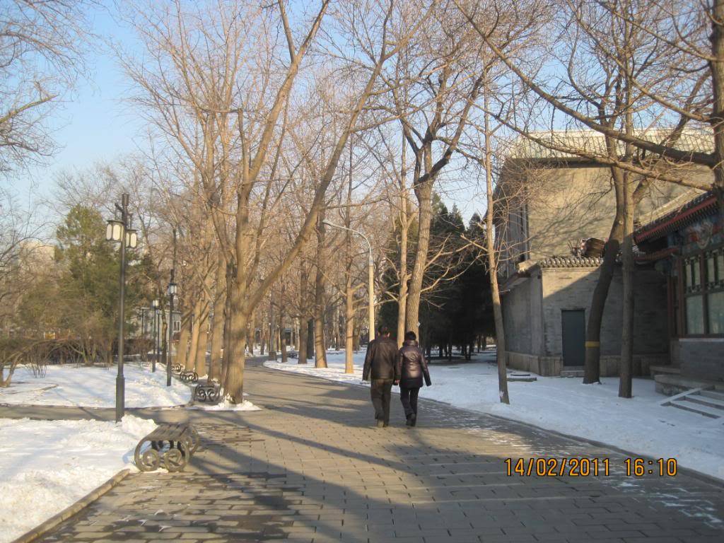 IMG_5997.jpg