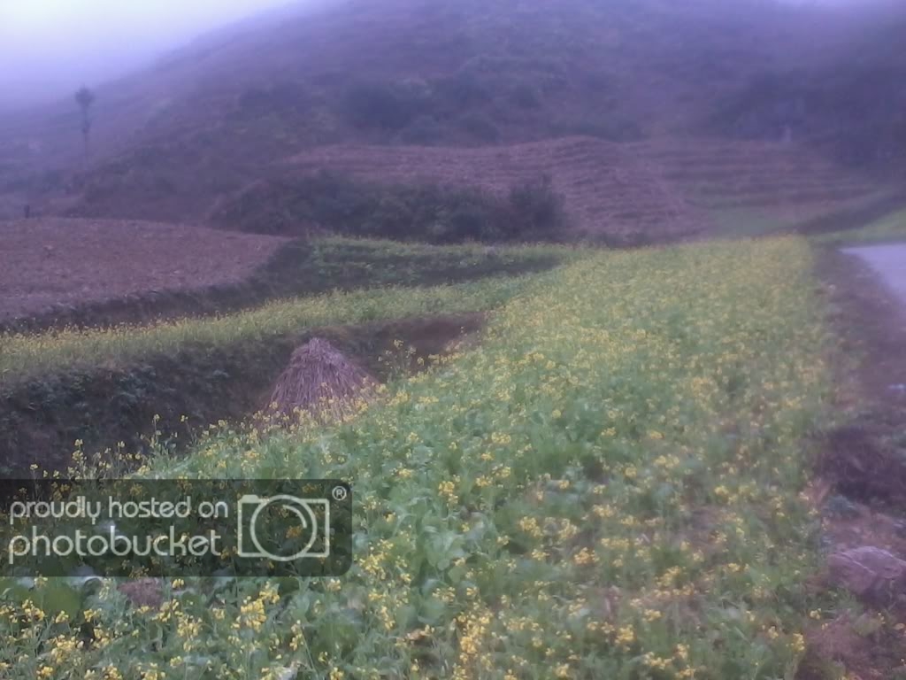 2012-01-24134436.jpg