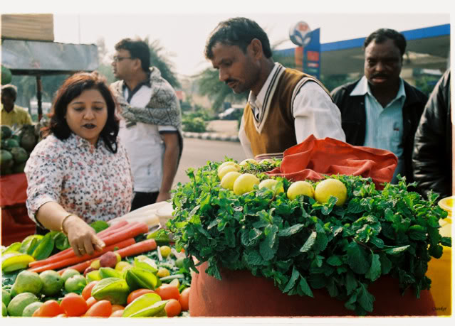 Jaipur102.jpg