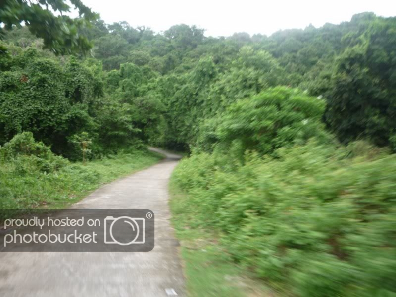 P1010467DesktopResolution800x600.jpg