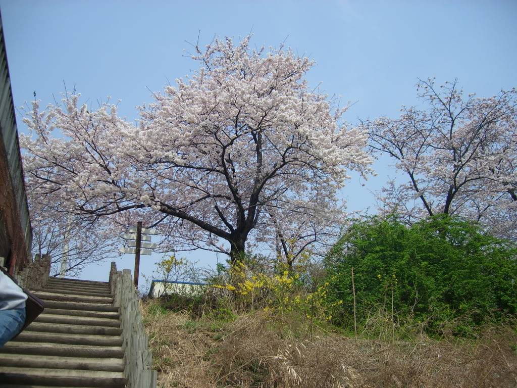 STP62331.jpg