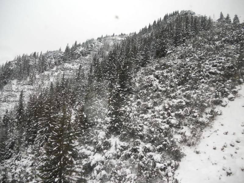 DSCN1881.jpg