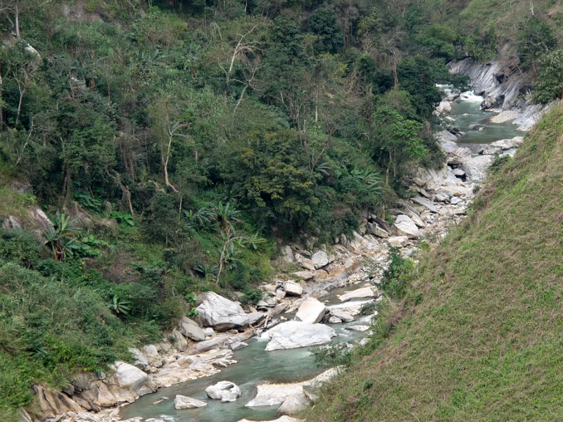 HongNgai2011795.jpg