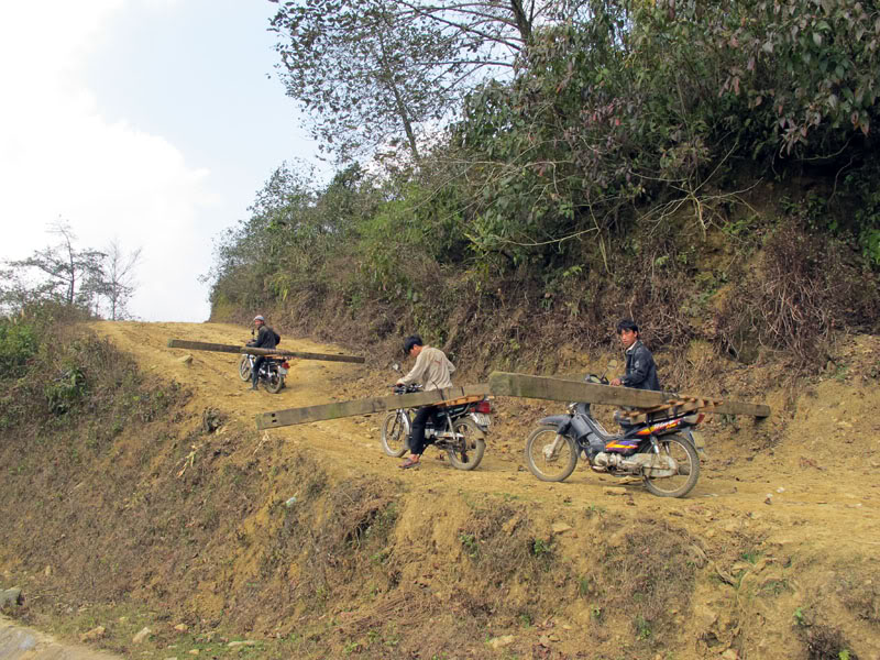 HongNgai2011191.jpg