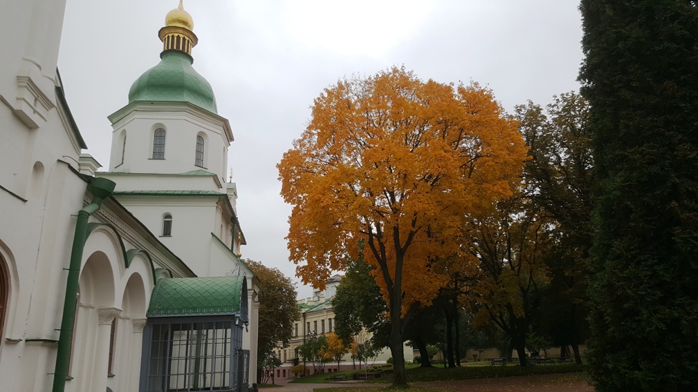 20171011_132254_ibb.jpg