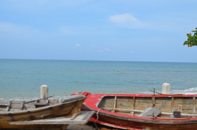 DSC_2486.jpg