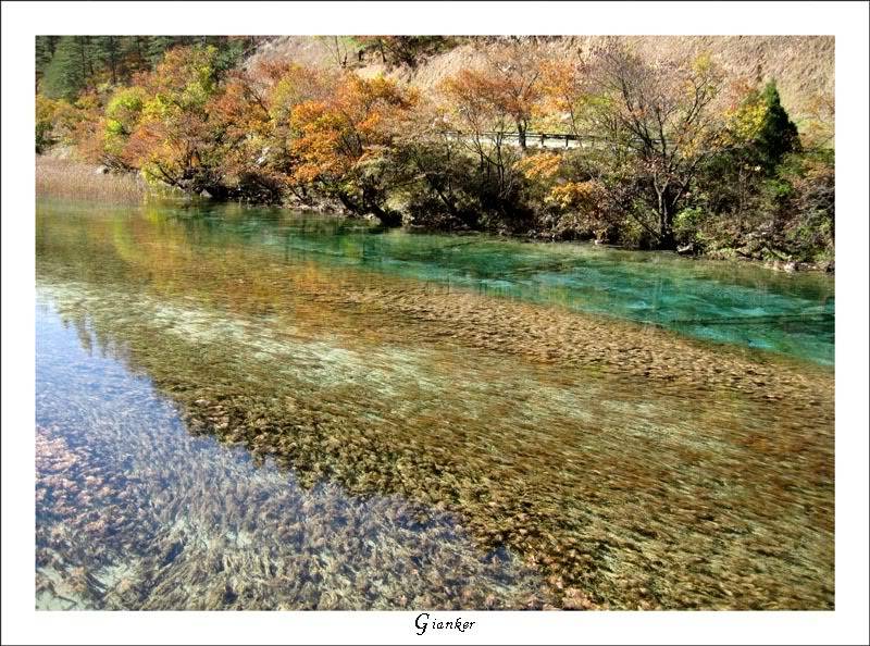 R-River5.jpg