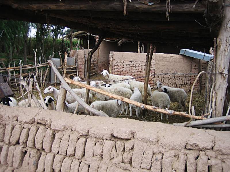langMongCoTOngGuNao14.jpg