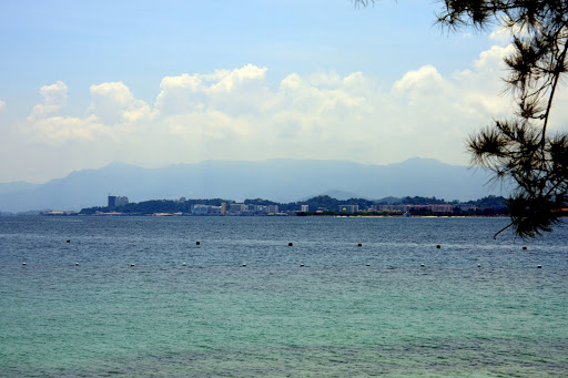 IMG_5652.jpg