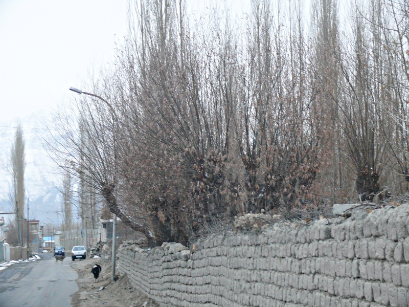 P1500698_zpsidmaiwcr.jpg