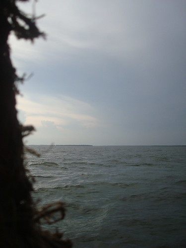 5698675844_51af8fec94.jpg
