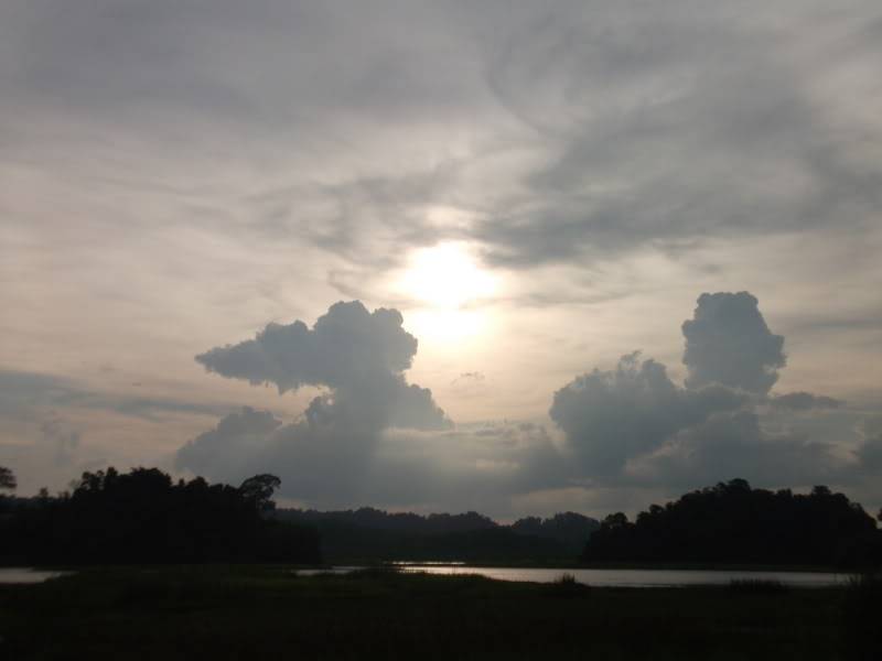 DSCF0921.jpg