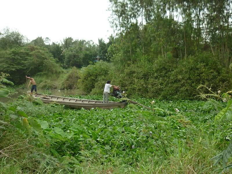 P1010438.jpg