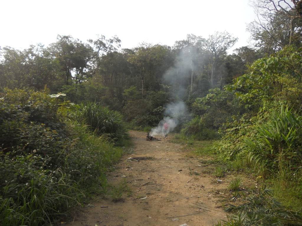 DSCN5189.jpg