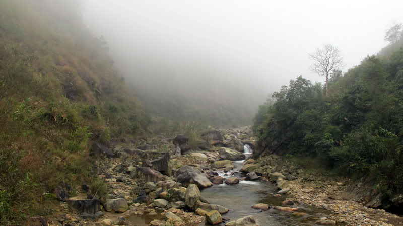HongNgai2011340.jpg