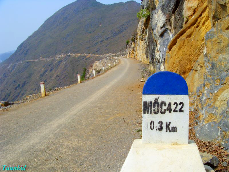 SDC16419.jpg