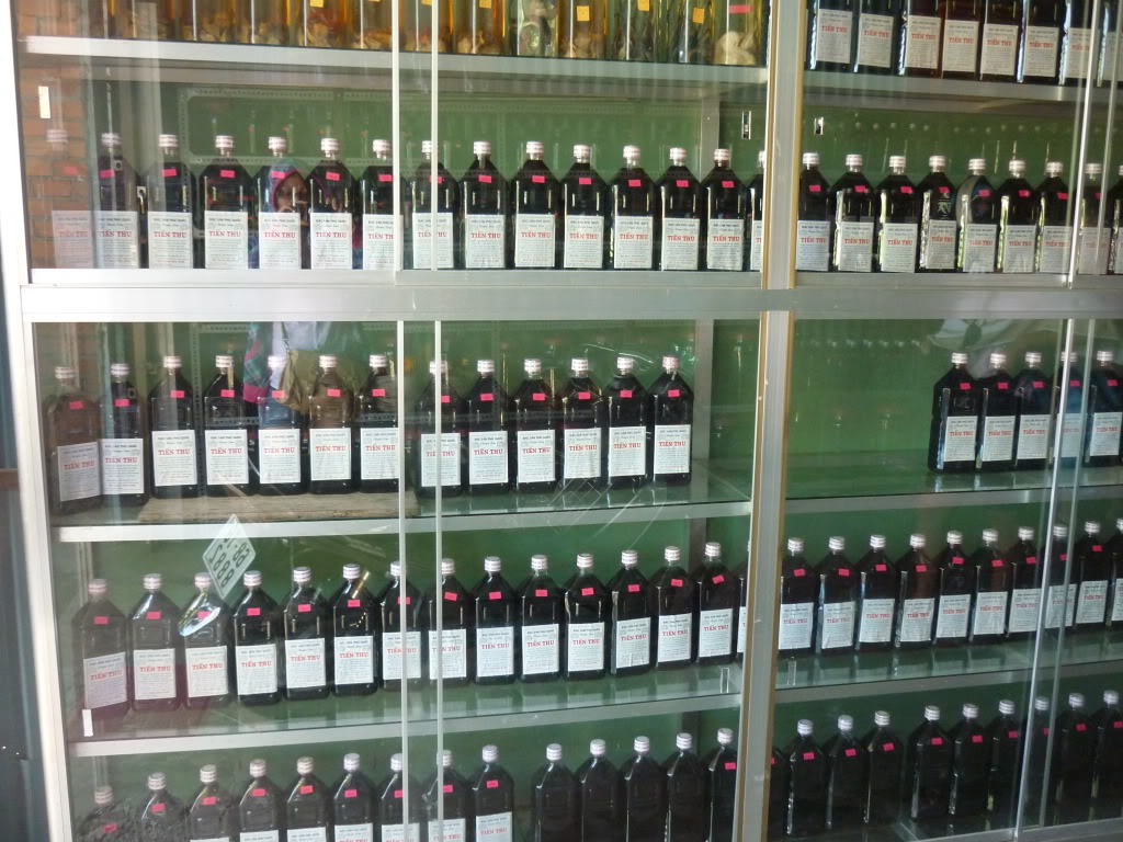 P1030616.jpg