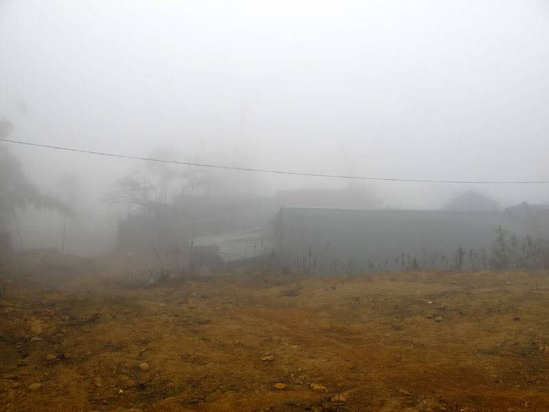 HongNgai2011467.jpg