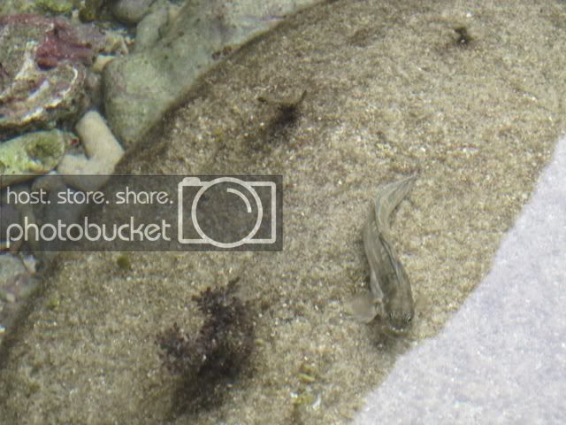 IMG_9064.jpg