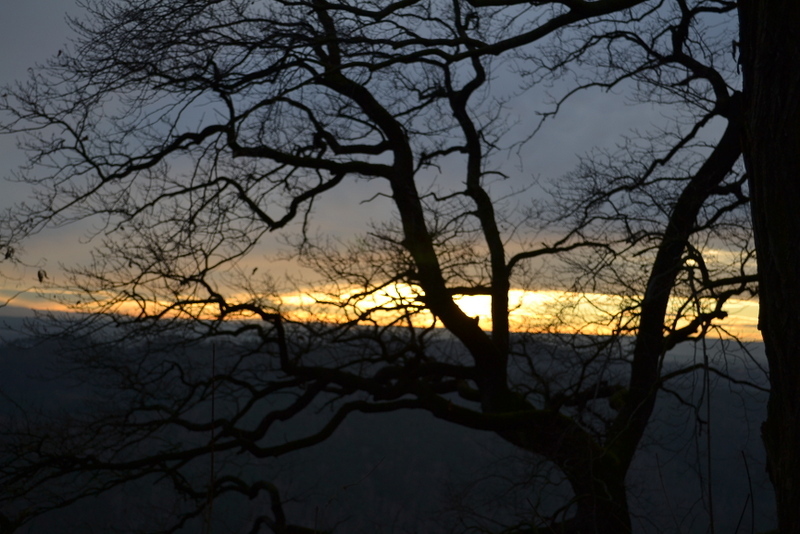 DSC_0555.jpg