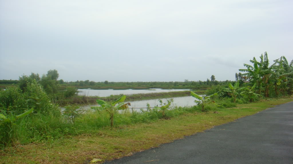 168.jpg