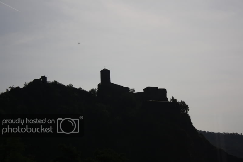 IMG_4794.jpg