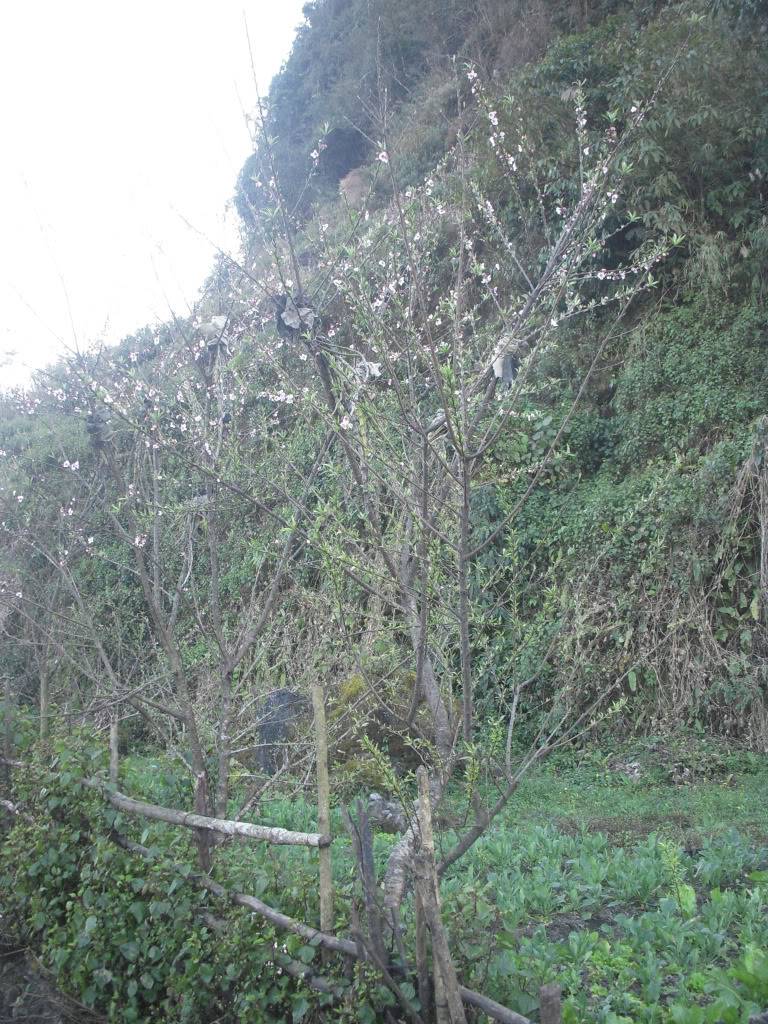 DSCN9934.jpg