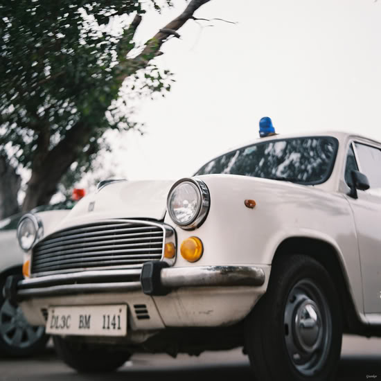 delhi1-06.jpg