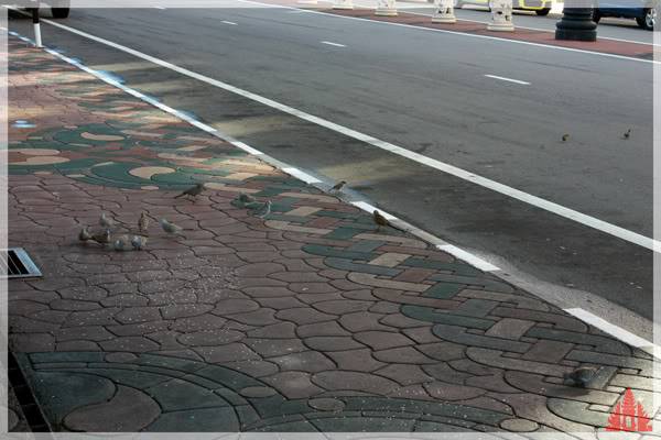 brunei42.jpg
