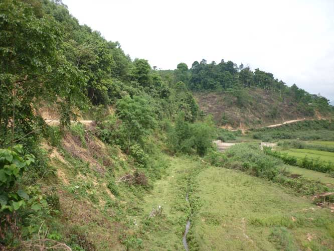 P1300628.jpg