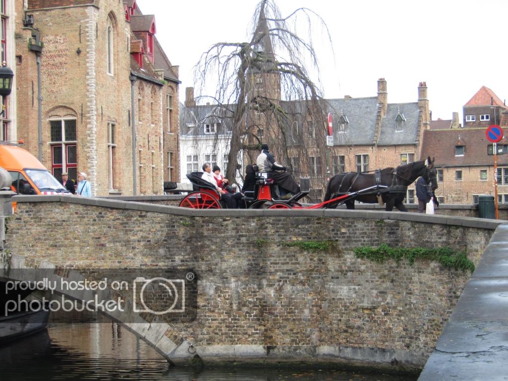 IMG_6642_zpsa5aad6f9.jpg