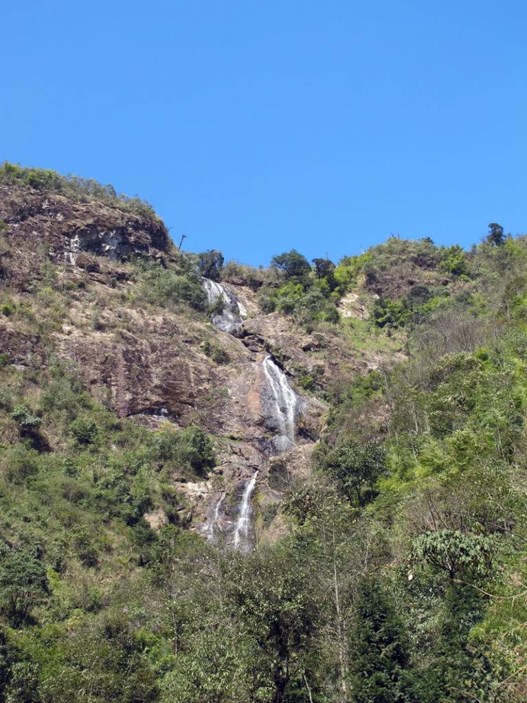 HongNgai2011170.jpg