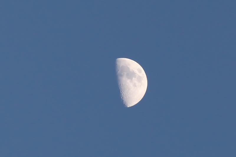 IMG_7948.jpg