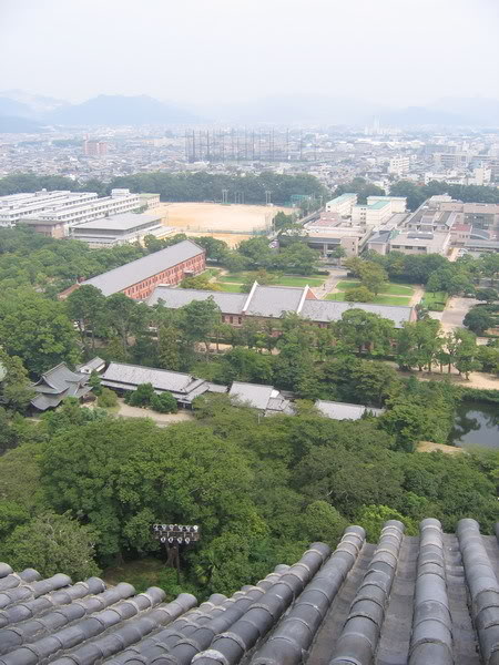 IMG_0592_resize.jpg
