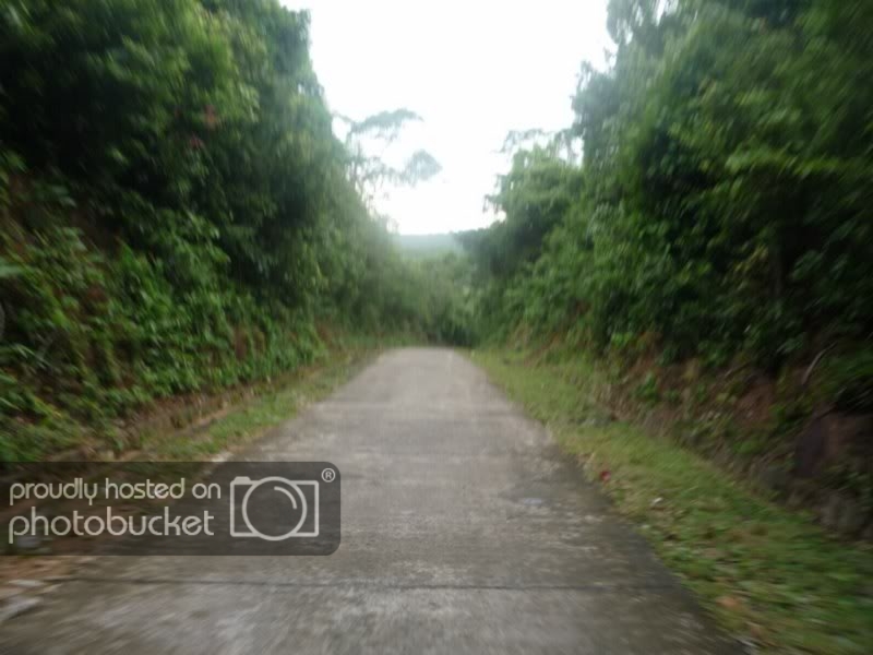 P1010477DesktopResolution800x600.jpg