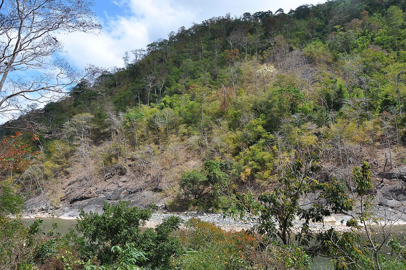 DSC_8727.jpg