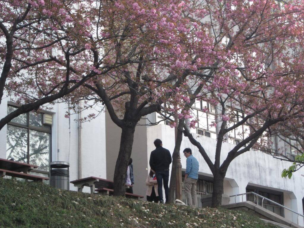 IMG_2435_zpsfe0cde09.jpg