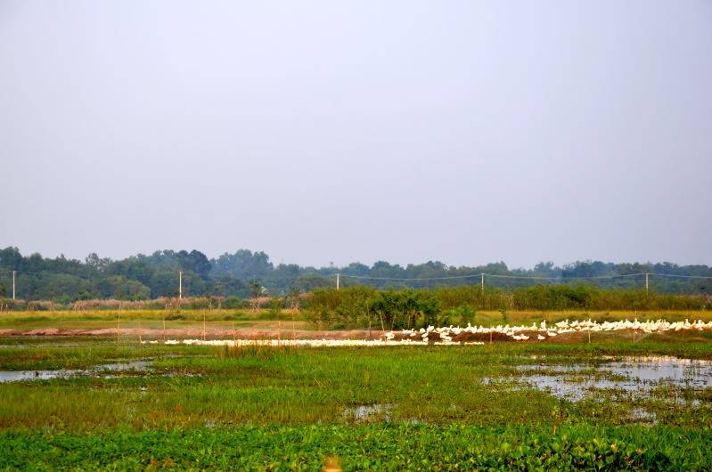 DSC_0140.jpg