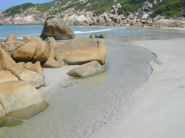 DSCN0092.jpg
